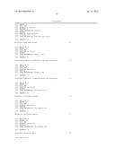 METHOD FOR AMPLIFYING NUCLEIC ACID AND METHOD FOR DETECTING AMPLIFIED     NUCLEIC ACID diagram and image