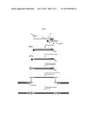 METHODS FOR ADDING ADAPTERS TO NUCLEIC ACIDS AND COMPOSITIONS FOR     PRACTICING THE SAME diagram and image