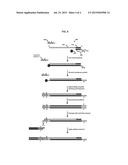 METHODS FOR ADDING ADAPTERS TO NUCLEIC ACIDS AND COMPOSITIONS FOR     PRACTICING THE SAME diagram and image