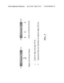 GENOME CAPTURE AND SEQUENCING TO DETERMINE GENOME-WIDE COPY NUMBER     VARIATION diagram and image