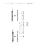 GENOME CAPTURE AND SEQUENCING TO DETERMINE GENOME-WIDE COPY NUMBER     VARIATION diagram and image