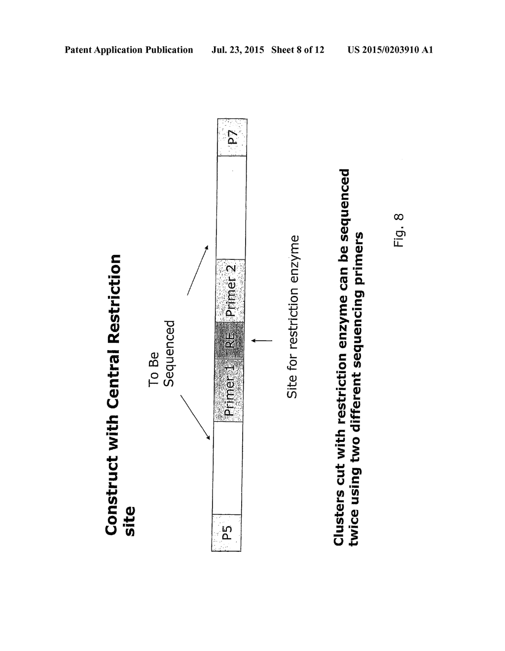 Method for Sequencing a Polynucelotide Template - diagram, schematic, and image 09