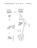 PROTEIN DETECTION USING FET diagram and image