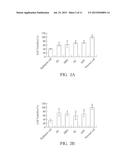 Chinese Herbal Aqueous Extract Having Anti-Anxiety Activities and Method     of In Vitro Evaluating the Same diagram and image