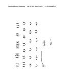 Human Hepatoma Cell Line HLCZ01 and Uses Thereof diagram and image