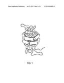 MICROARRAYS OF G PROTEIN COUPLED RECEPTORS diagram and image