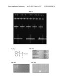 Orthogonal Processing of Organic Materials Used in Electronic and     Electrical Devices diagram and image