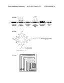 Orthogonal Processing of Organic Materials Used in Electronic and     Electrical Devices diagram and image