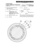 INSULATING WINDING WIRE HAVING CORONA RESISTANCE diagram and image