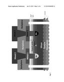 PASSIVATED CONTACTS FOR BACK CONTACT BACK JUNCTION SOLAR CELLS diagram and image