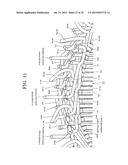 ROTARY ELECTRIC MACHINE diagram and image