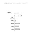 BACTERIAL STRAIN HAVING ANTI-ALLERGIC ACTIVITY, AND BEVERAGE, FOOD AND     ANTI-ALLERGIC AGENT COMPRISING CELL OF THE BACTERIAL STRAIN diagram and image