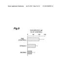 BACTERIAL STRAIN HAVING ANTI-ALLERGIC ACTIVITY, AND BEVERAGE, FOOD AND     ANTI-ALLERGIC AGENT COMPRISING CELL OF THE BACTERIAL STRAIN diagram and image