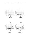 LIPOSOMAL COMPOSITIONS OF EPOXYKETONE-BASED PROTEASOME INHIBITORS diagram and image