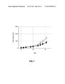 LIPOSOMAL COMPOSITIONS OF EPOXYKETONE-BASED PROTEASOME INHIBITORS diagram and image