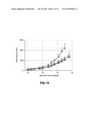 LIPOSOMAL COMPOSITIONS OF EPOXYKETONE-BASED PROTEASOME INHIBITORS diagram and image