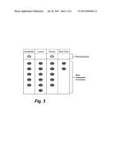 MULTI-COMPONENT FORMULATION FOR IMPROVING NEUROLOGICAL FUNCTION diagram and image