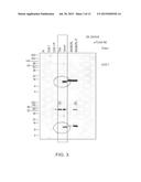 METHODS OF TREATING AN OVERWEIGHT OR OBESE SUBJECT diagram and image