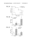 ATTENUATING OR TREATING SEPSIS OR SEPTIC SHOCK diagram and image