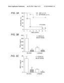 ATTENUATING OR TREATING SEPSIS OR SEPTIC SHOCK diagram and image