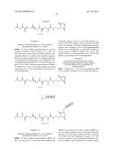 CONJUGATES, PARTICLES, COMPOSITIONS, AND RELATED METHODS OF USE diagram and image