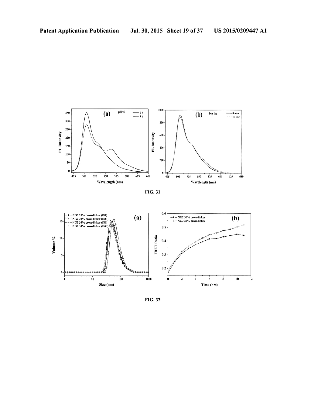 CROSSLINKED POLYMER NANO-ASSEMBLIES AND USES THEREOF - diagram, schematic, and image 20