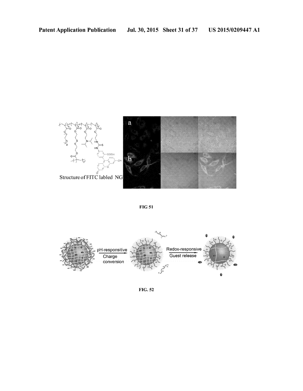 CROSSLINKED POLYMER NANO-ASSEMBLIES AND USES THEREOF - diagram, schematic, and image 32