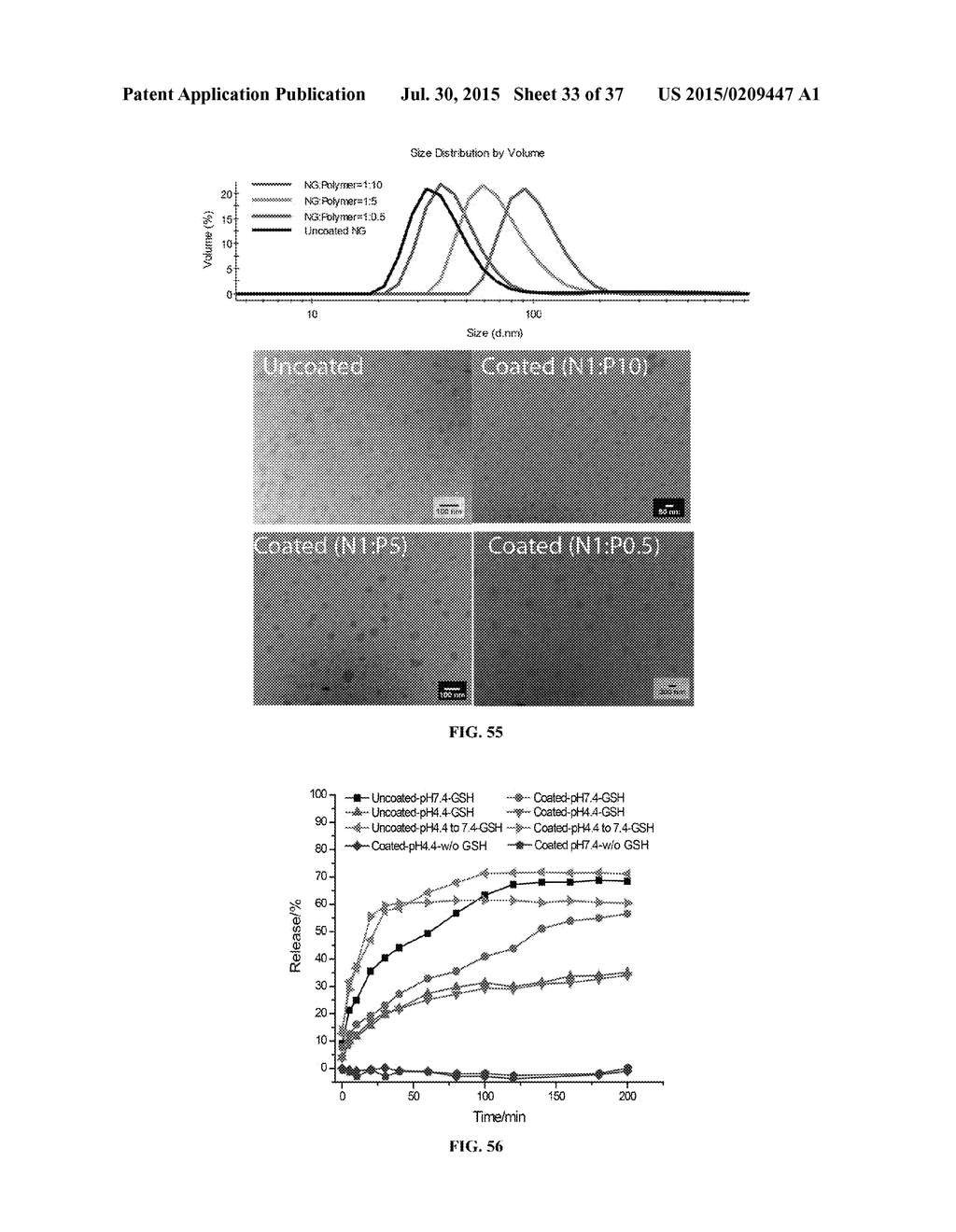 CROSSLINKED POLYMER NANO-ASSEMBLIES AND USES THEREOF - diagram, schematic, and image 34