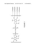 MULTIVALENT FLUORESCENT PROBES diagram and image