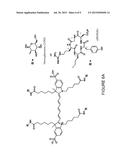 MULTIVALENT FLUORESCENT PROBES diagram and image