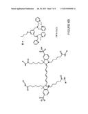 MULTIVALENT FLUORESCENT PROBES diagram and image