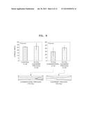 Method For Manufacturing Allogeneic Soft-Tissue Transplant Having     Autologous Stem Cell Transplanted Therein diagram and image