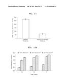 Method For Manufacturing Allogeneic Soft-Tissue Transplant Having     Autologous Stem Cell Transplanted Therein diagram and image