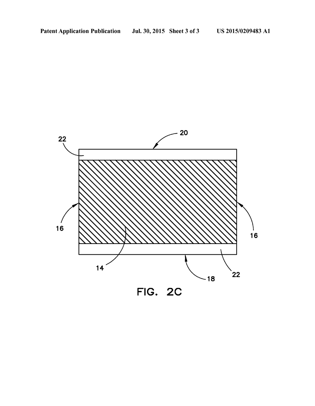 BIOABSORBABLE MEDICAL DEVICES AND METHODS OF USE THEREOF - diagram, schematic, and image 04