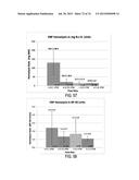 BLOOD PUMP SYSTEMS AND METHODS diagram and image