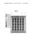 PASSIVE ELECTRIC FIELD FOCUS SYSTEM FOR IN VIVO AND IN VITRO APPLICATIONS diagram and image