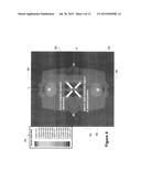 PASSIVE ELECTRIC FIELD FOCUS SYSTEM FOR IN VIVO AND IN VITRO APPLICATIONS diagram and image