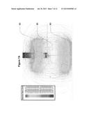 PASSIVE ELECTRIC FIELD FOCUS SYSTEM FOR IN VIVO AND IN VITRO APPLICATIONS diagram and image