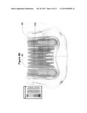 PASSIVE ELECTRIC FIELD FOCUS SYSTEM FOR IN VIVO AND IN VITRO APPLICATIONS diagram and image