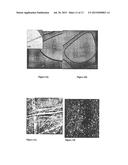 METHOD FOR DEPOSITING HIGH ASPECT RATIO MOLECULAR STRUCTURES diagram and image