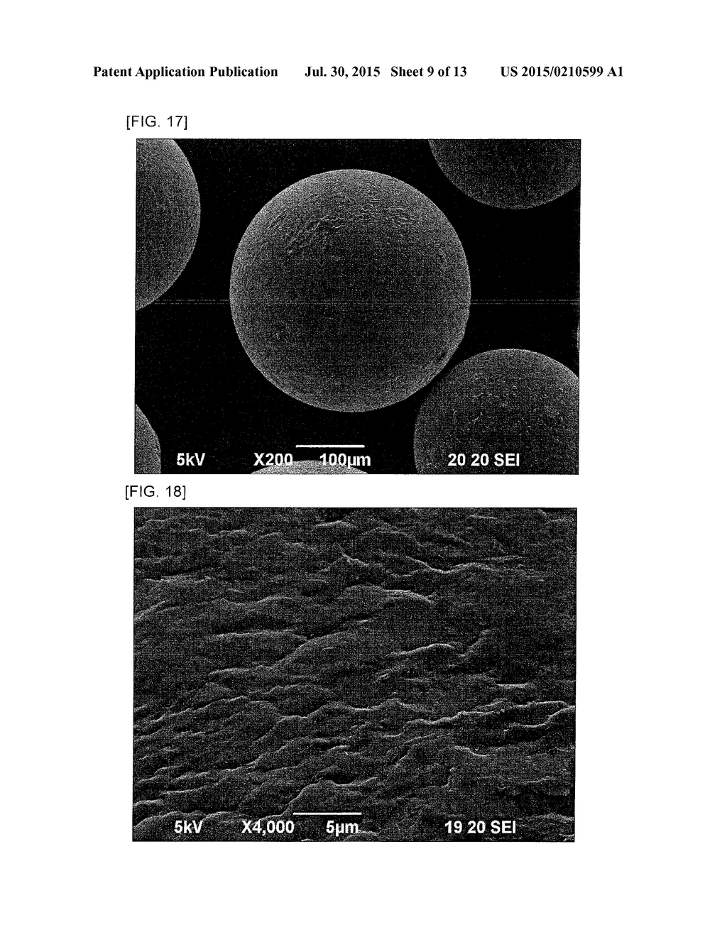 COMPOSITE MATERIAL AND METHOD FOR PRODUCING THE SAME - diagram, schematic, and image 10