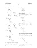 SUBSTITUTED TRIAZOLOPYRIDINES AND THEIR USE AS TTK INHIBITORS diagram and image