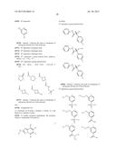 SUBSTITUTED TRIAZOLOPYRIDINES AND THEIR USE AS TTK INHIBITORS diagram and image