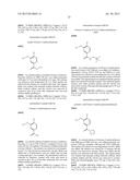 SUBSTITUTED TRIAZOLOPYRIDINES AND THEIR USE AS TTK INHIBITORS diagram and image
