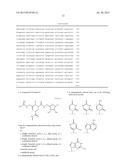 PSEUDOURIDIMYCIN (PUM) AND ITS DERIVATIVES diagram and image