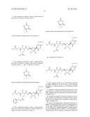 PSEUDOURIDIMYCIN (PUM) AND ITS DERIVATIVES diagram and image