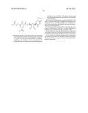 PSEUDOURIDIMYCIN (PUM) AND ITS DERIVATIVES diagram and image