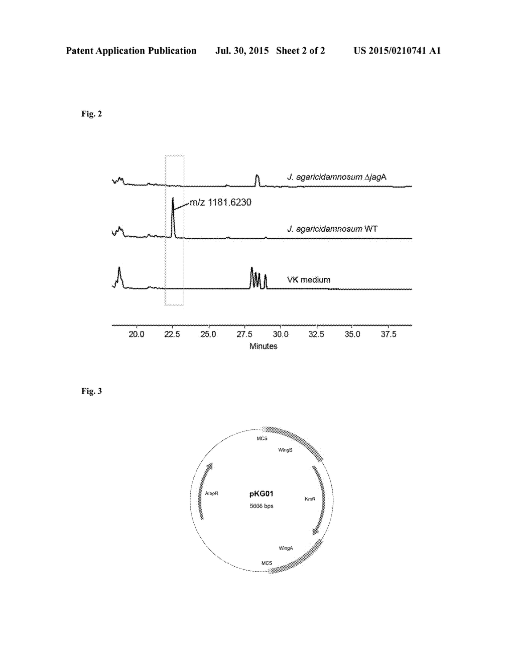 JAGARICIN DERIVATIVES AND THEIR USE AS FUNGICIDE OR ANTITUMOR AGENT - diagram, schematic, and image 03