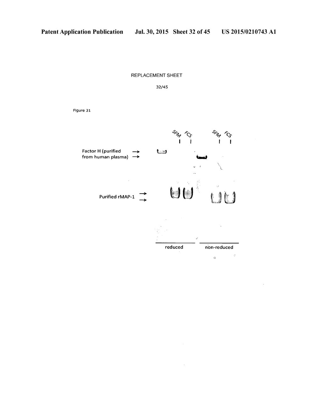 CHIMERIC INHIBITOR MOLECULES OF COMPLEMENT ACTIVATION - diagram, schematic, and image 33