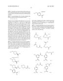 PROTEASE STABILIZED ACYLATED INSULIN ANALOGUES diagram and image